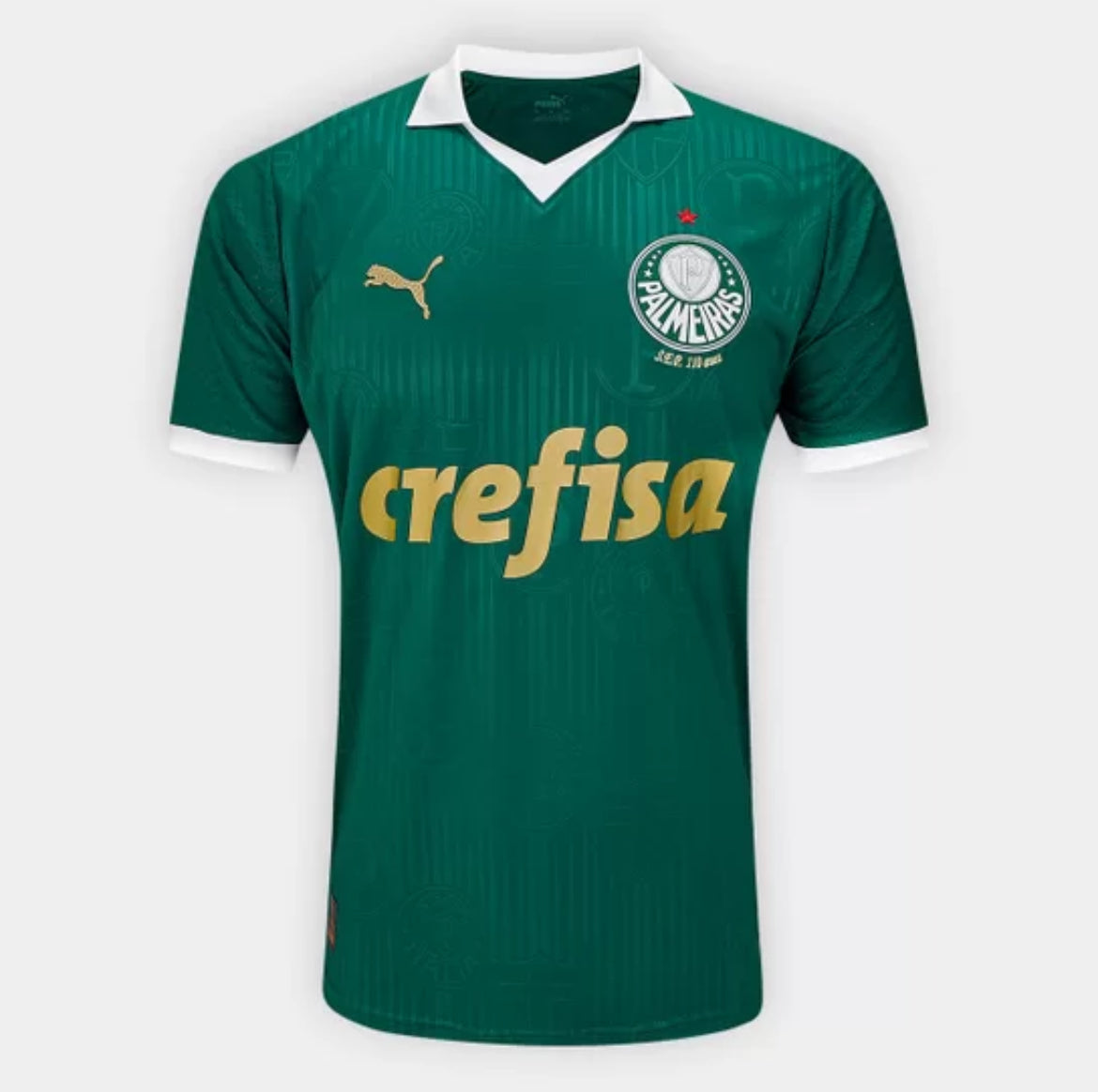 Camisa Palmeiras 2024/25 Home Versão jogador