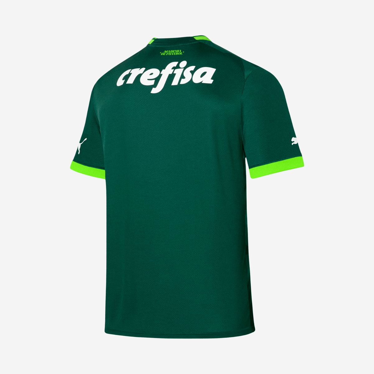 Camisa SE Palmeiras 2023/24 Home