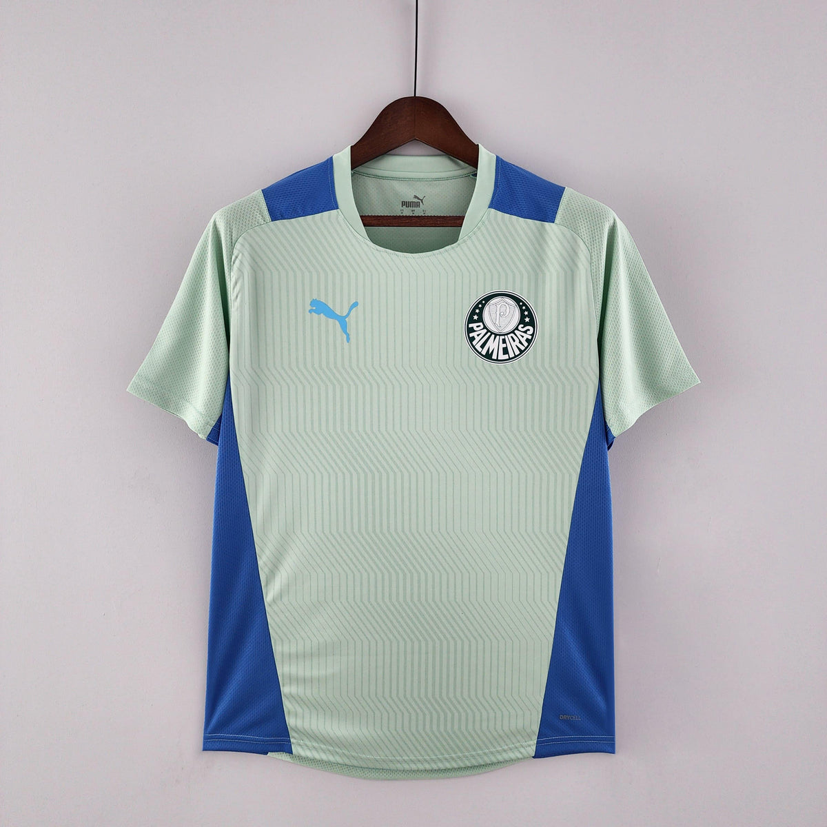 Camisa SE Palmeiras 2022/23 Training - ResPeita Sports 